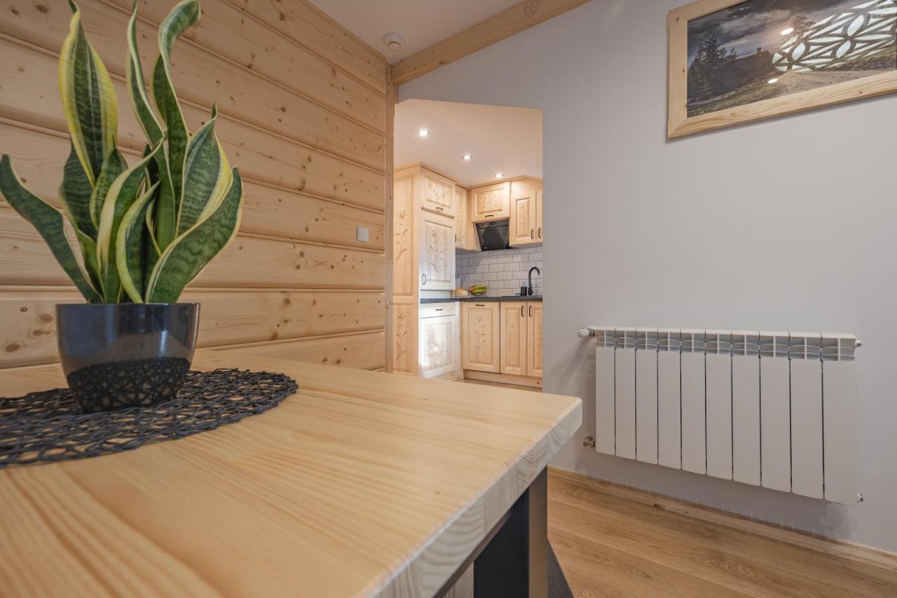 Leśnica Wierchowe Apartamenty מראה חיצוני תמונה